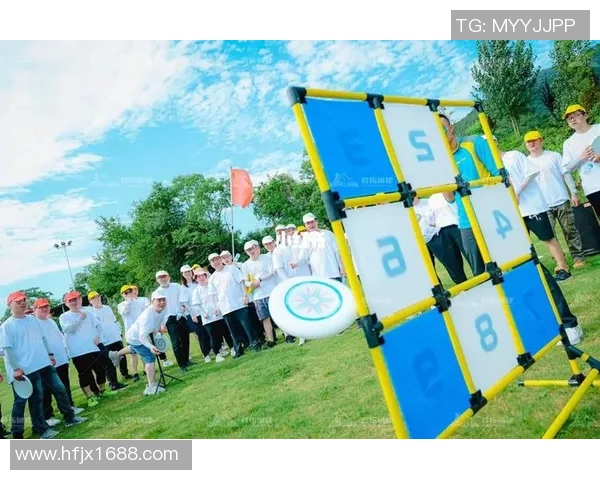 武汉飞盘队心理素质排名第九揭示团队竞技精神与心理韧性的重要性